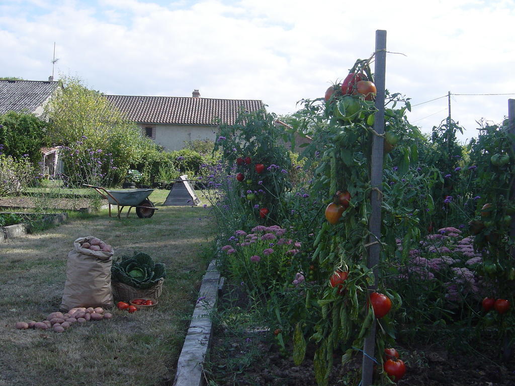 Chez Tartaud Villa Lathus St Remy Luaran gambar