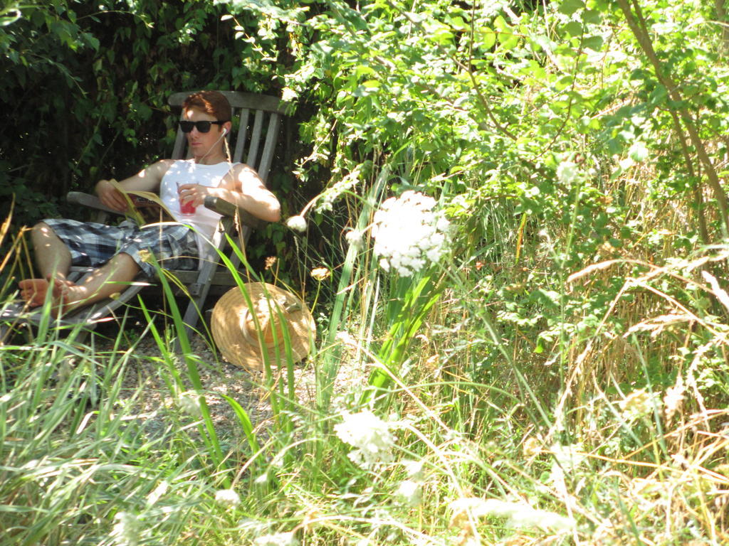 Chez Tartaud Villa Lathus St Remy Luaran gambar