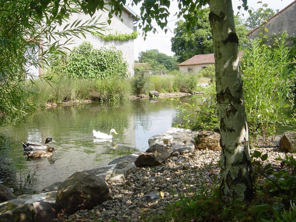 Chez Tartaud Villa Lathus St Remy Luaran gambar